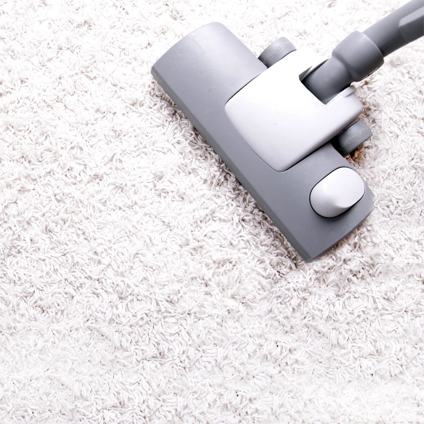 Carpet cleaner on carpet from Scott's Flooring in Barrie, ON